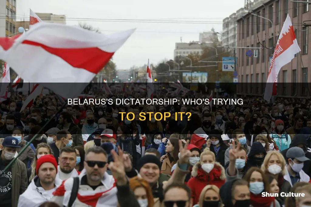 have any other countries tried to stop belarus