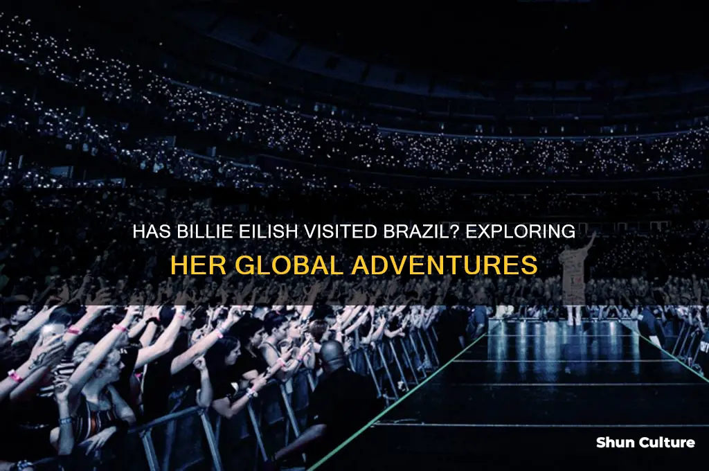 have billie eiligh been to brazil