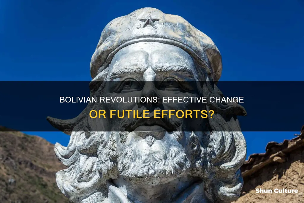 have bolivian revolutions worked