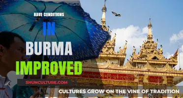 Assessing Progress: Have Conditions in Burma Improved?