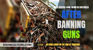 Gun Control in Australia: Fewer Deaths, Better Safety