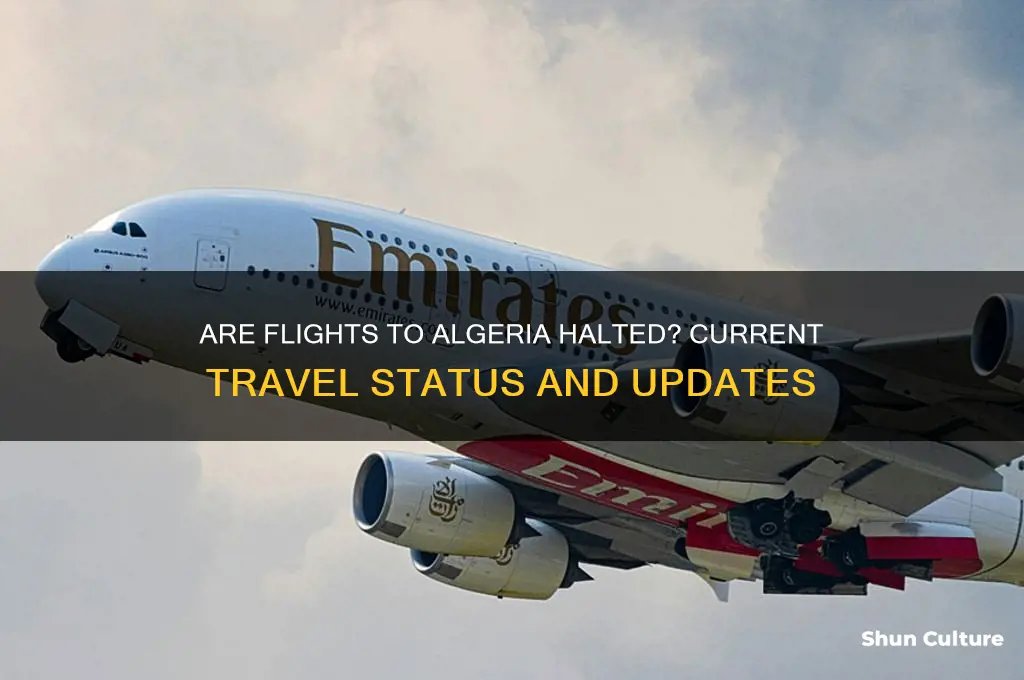 have flights to algeria halted