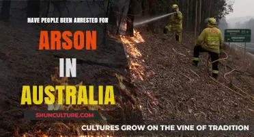 Arson Arrests in Australia: Who's Been Caught and Why?