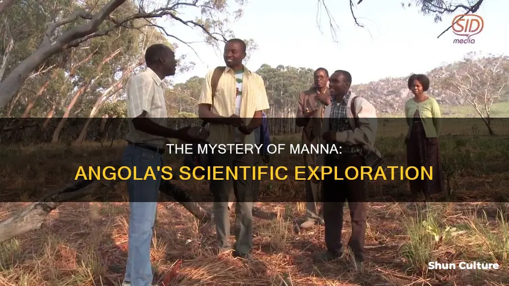 have scientists looked at manna in angola