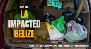 The LA's Influence: Belize's Transformation