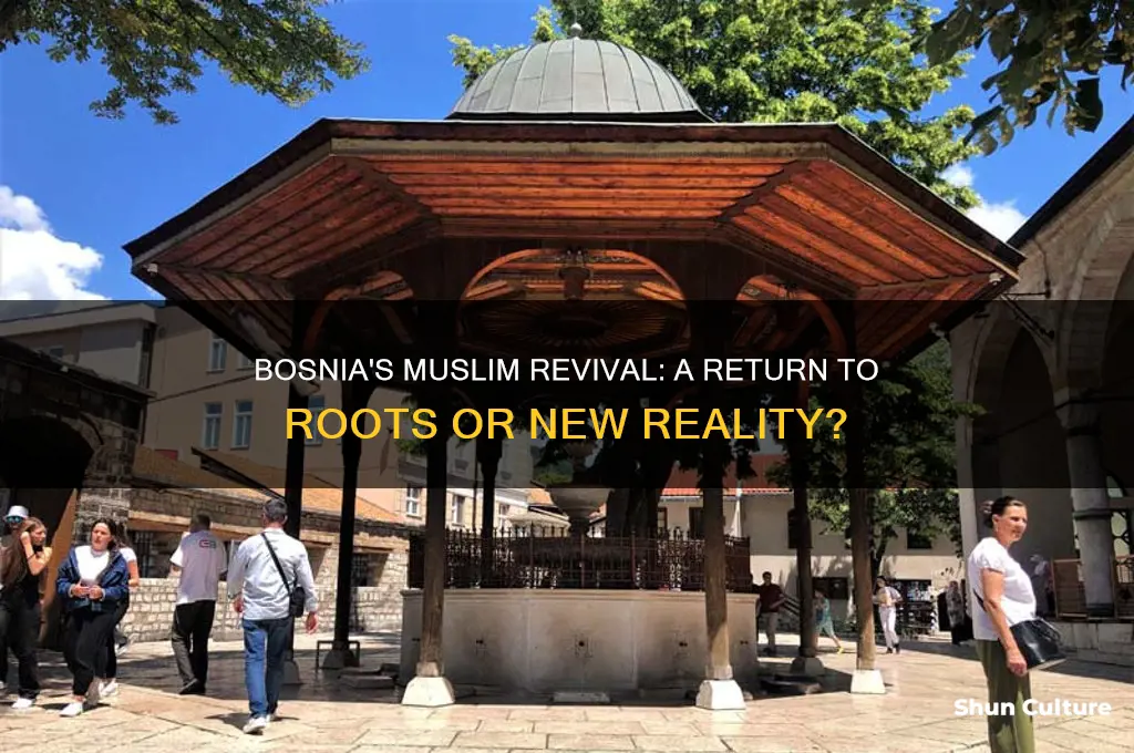 have the muslims all rturned to bosnia