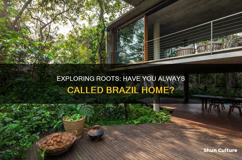 have you always lived in brazil