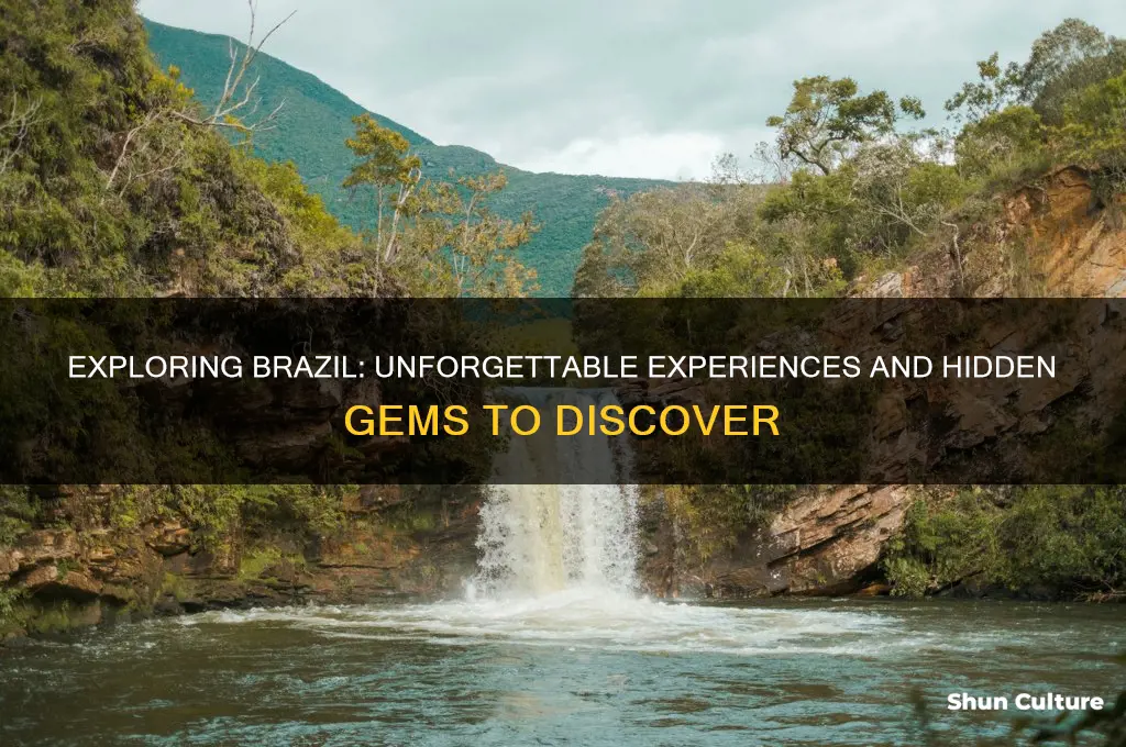 have you been in brazil