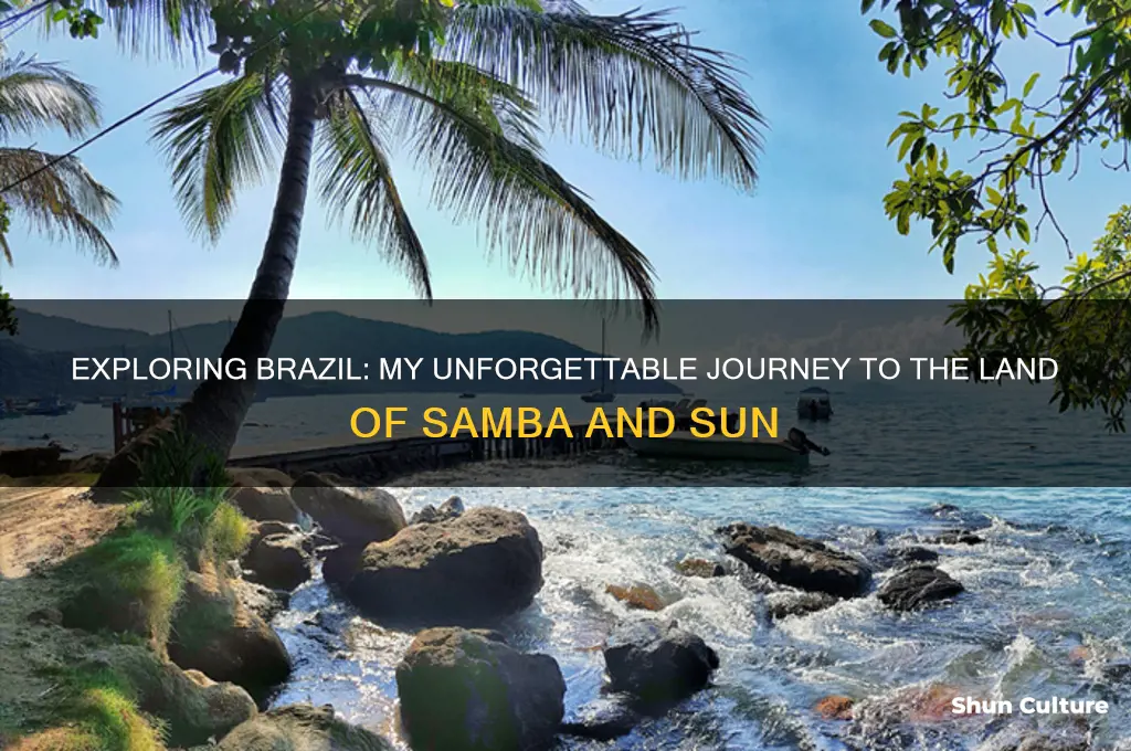 have you ever been to brazil
