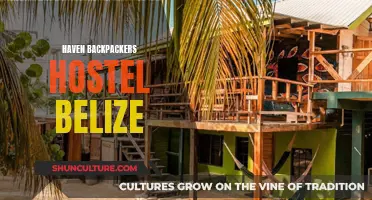 Backpackers' Paradise: Haven Belize Hostel