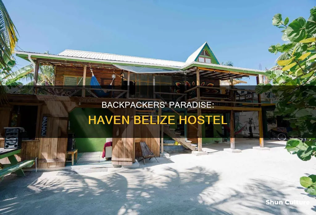 haven backpackers hostel belize