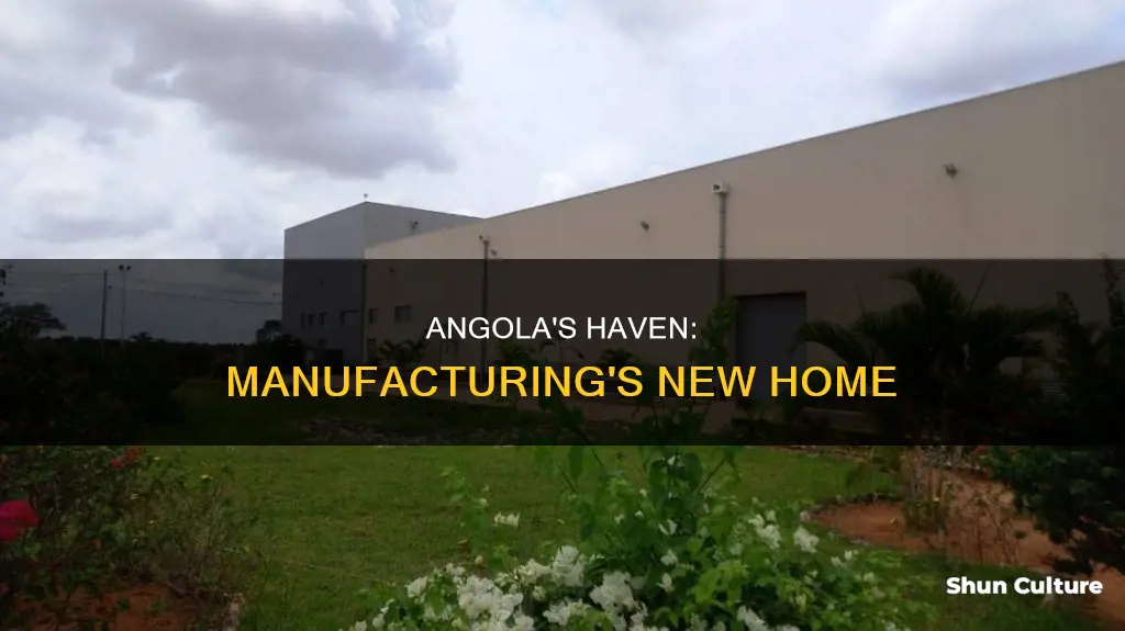 haven manufacturing angola in