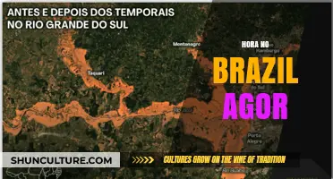 Current Time in Brazil: A Quick Guide to Hora Agora
