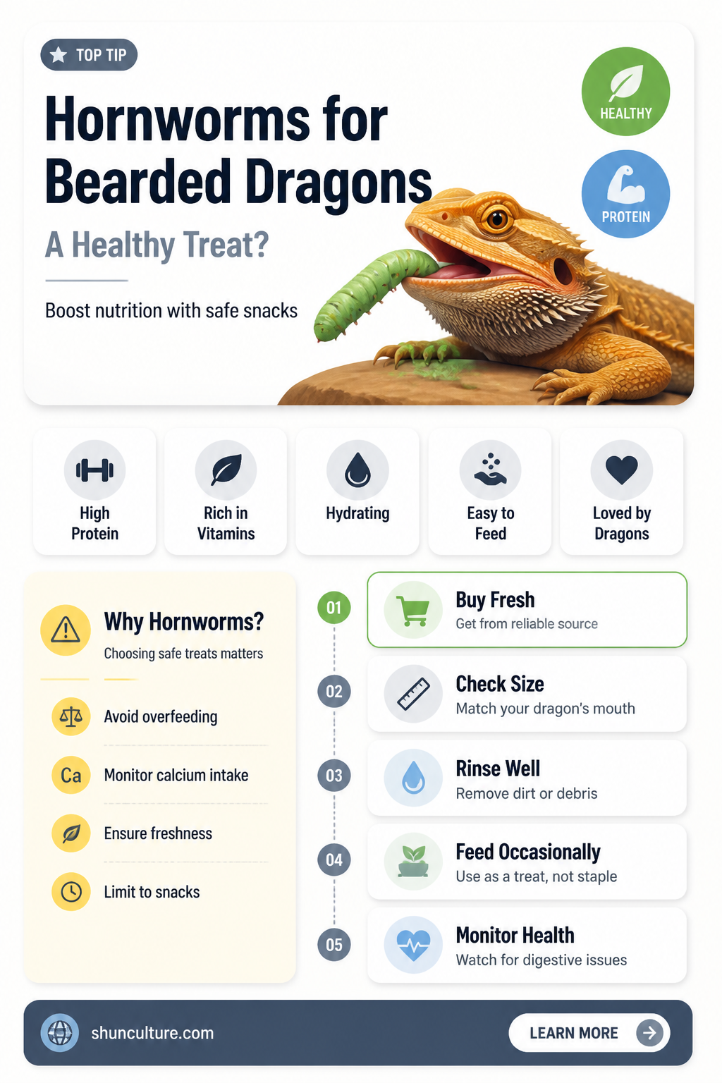 are australian hornworms good for bearded dragon
