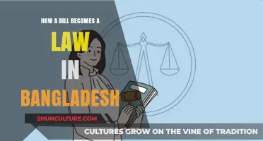 Understanding Bangladesh's Legislative Process: How a Bill Becomes Law