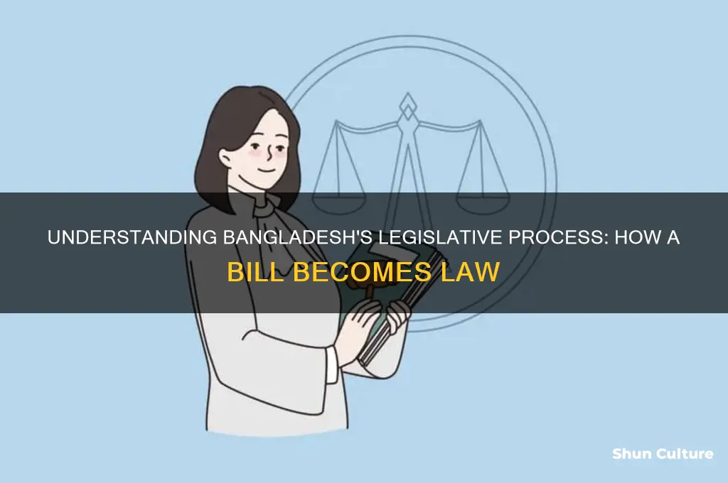 how a bill becomes a law in bangladesh