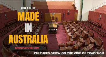 Australian Lawmaking: How a Bill is Born