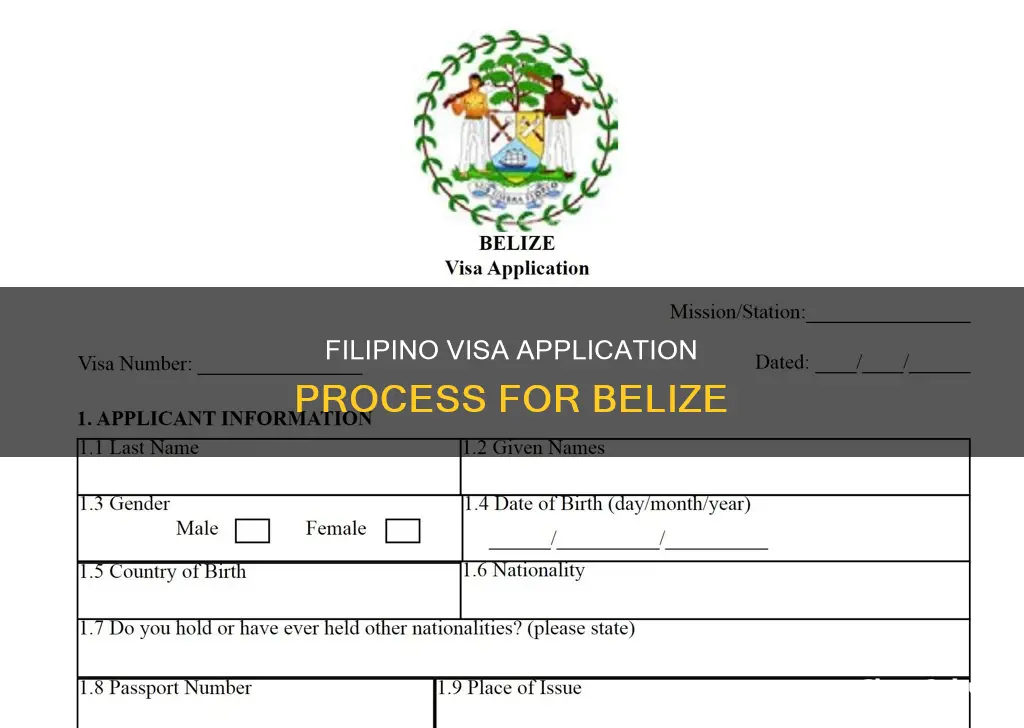 how a filipino applies for visa to belize