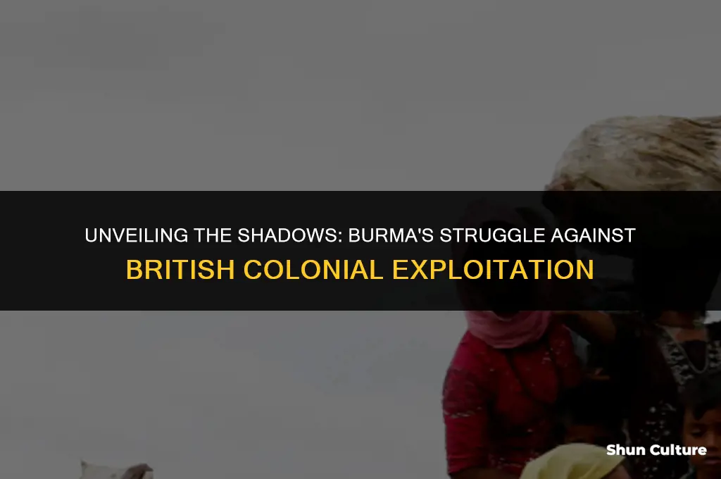 how a nation is exploited the british empire in burma