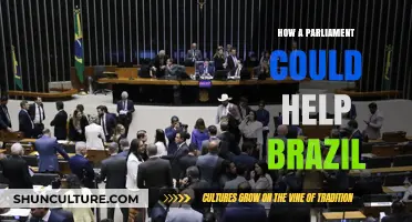 Strengthening Democracy: How a Parliament Could Transform Brazil's Governance