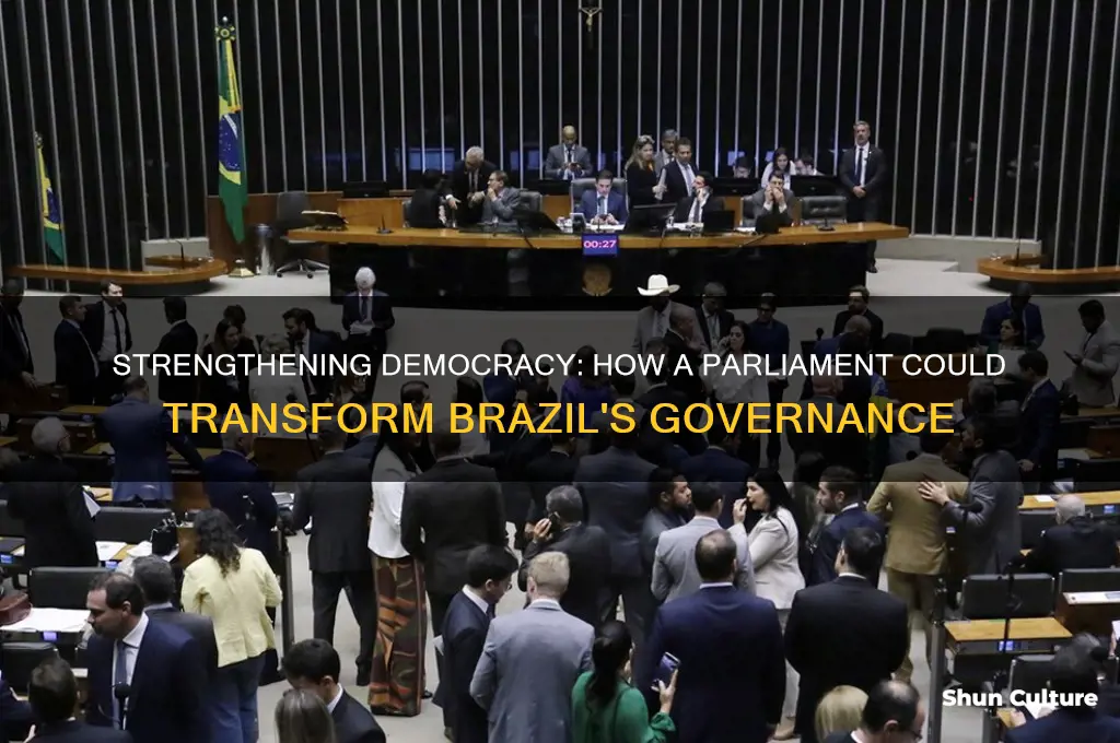how a parliament could help brazil