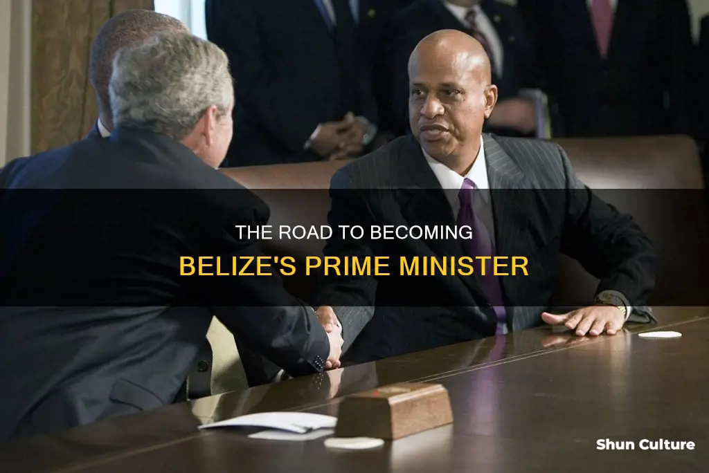 how a person becomes a prime minister in belize