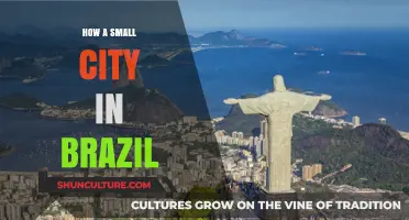 How a Small City in Brazil Transformed Its Future Through Innovation