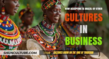 Brazil’s Cultural Openness: Embracing Diversity in Global Business Practices