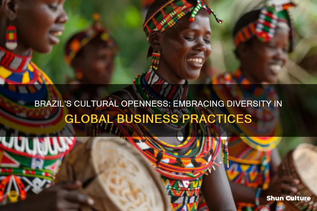how accepting is brazil of other cultures in business