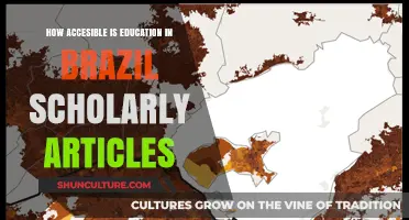 Exploring Education Accessibility in Brazil: Insights from Scholarly Research