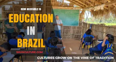 Education in Brazil: Accessibility Challenges and Opportunities for All