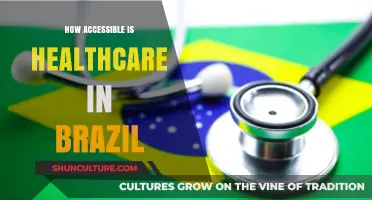 Healthcare Access in Brazil: Challenges, Inequalities, and Opportunities for Reform