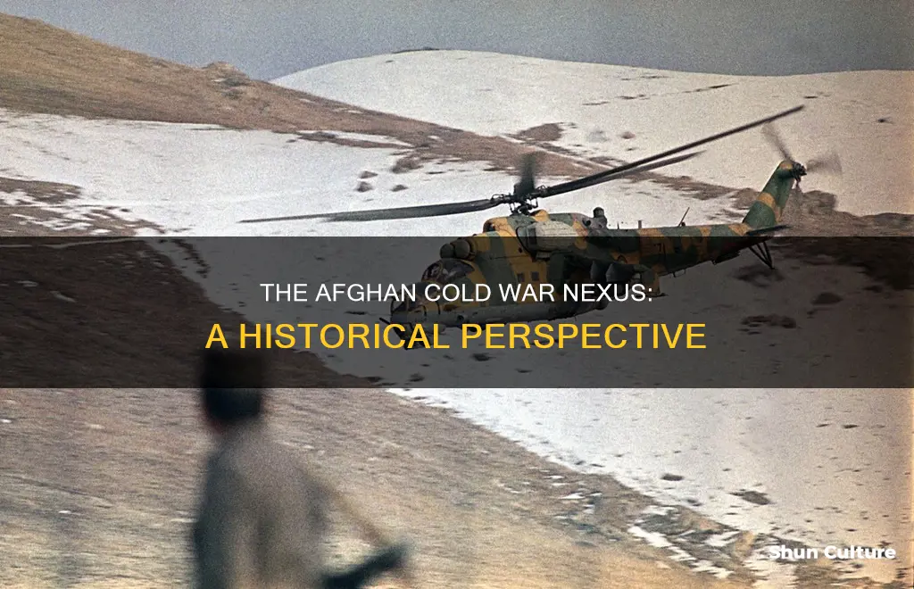 how afghanistan contributed to the cold war