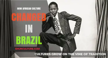 African Roots, Brazilian Rhythms: Cultural Evolution in Brazil's History