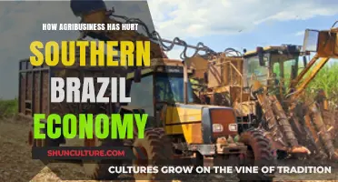 Agribusiness Impact: Southern Brazil's Economic Struggles and Environmental Costs