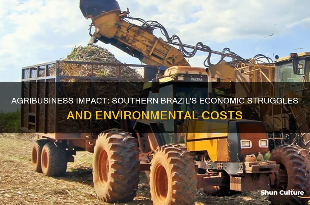 how agribusiness has hurt southern brazil economy