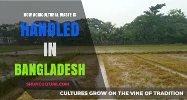 Sustainable Solutions: Managing Agricultural Waste in Bangladesh's Farming Sector