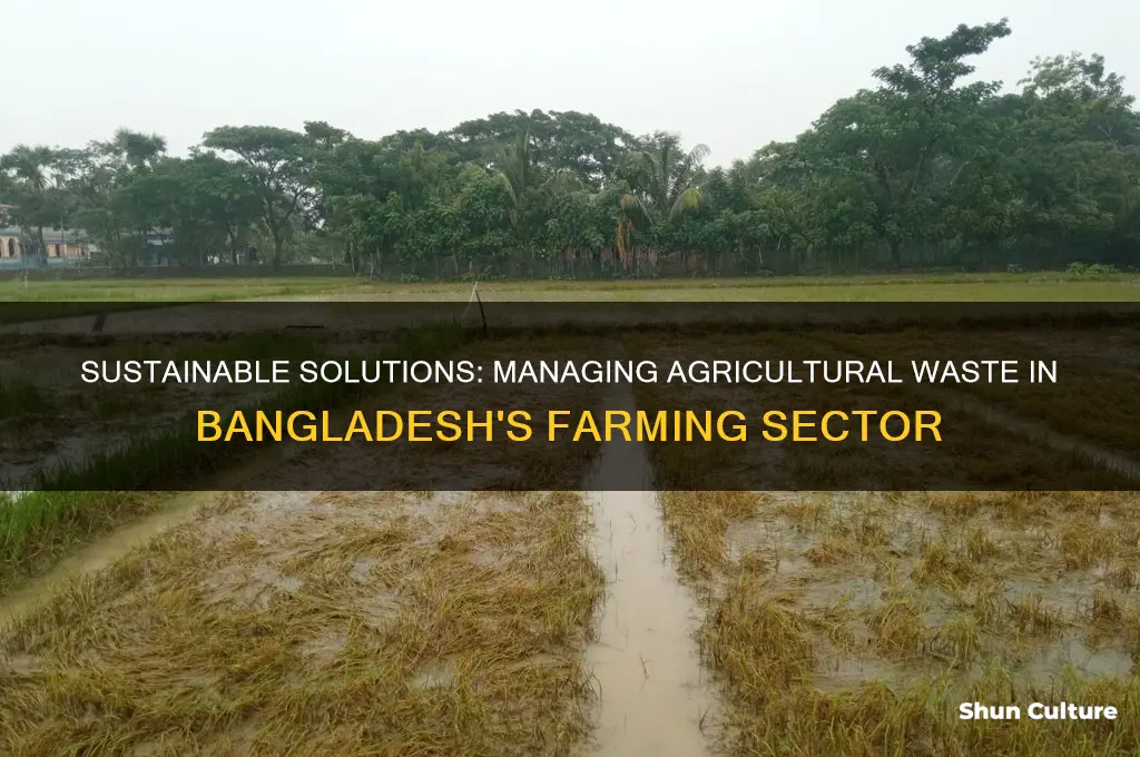 how agricultural waste is handled in bangladesh