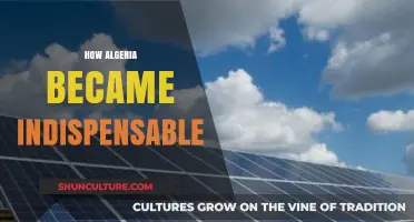 Algeria's Rise: How It Became a Global Indispensable Power