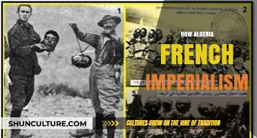 Algeria's Struggle Against French Imperialism: A Historical Overview