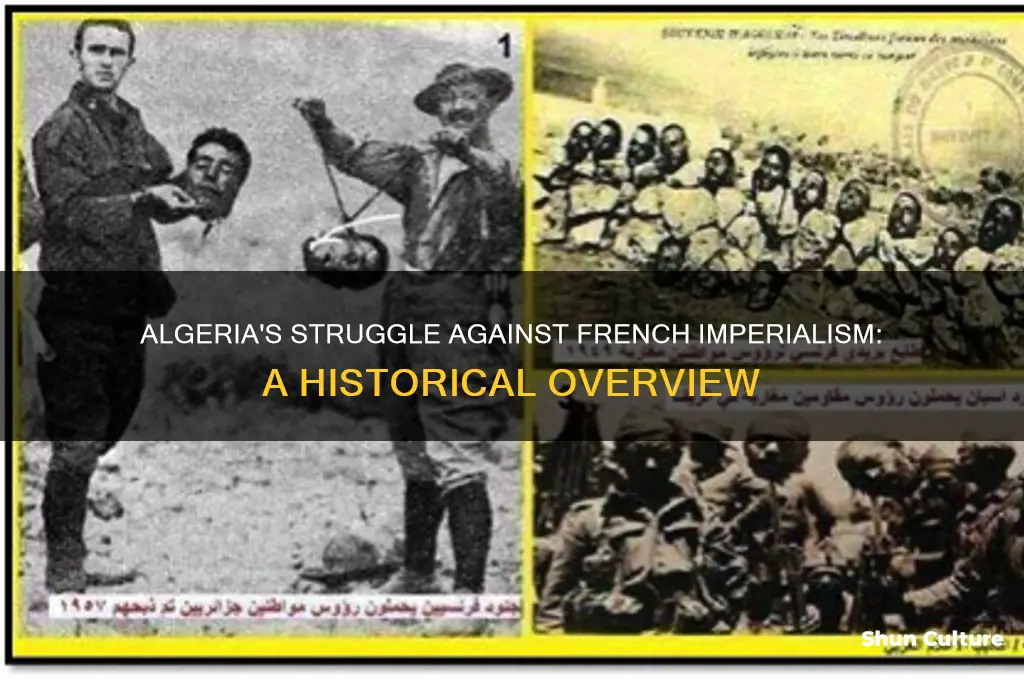 how algeria french imperialism