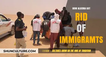 Algeria's Controversial Deportation Policies: Expelling Migrants Amidst Criticism