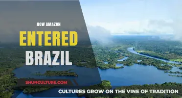 Amazon's Strategic Entry into Brazil: A Comprehensive Market Penetration Guide