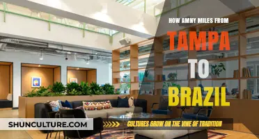 Tampa to Brazil: Exploring the Distance Across Miles and Oceans