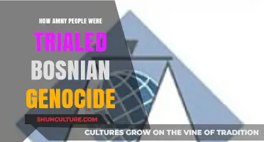 Bosnian Genocide Trials: Uncovering the Number of Individuals Prosecuted