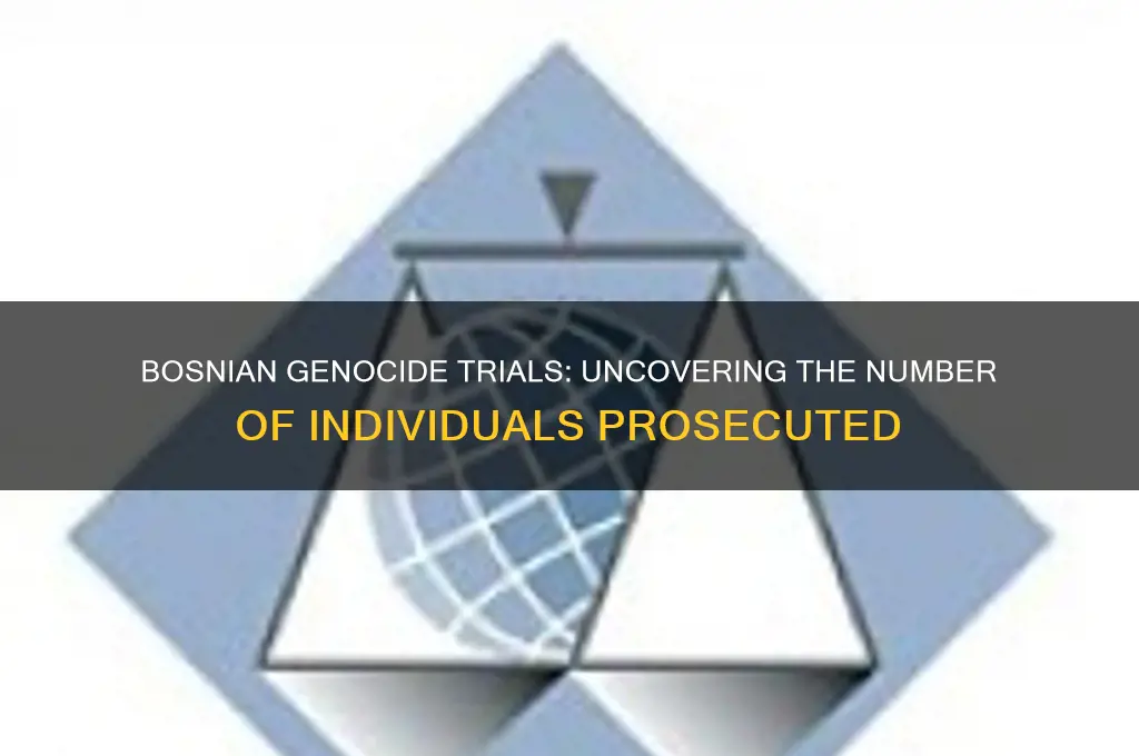 how amny people were trialed bosnian genocide