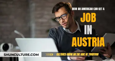 Job Hunting in Austria: A Guide for Americans