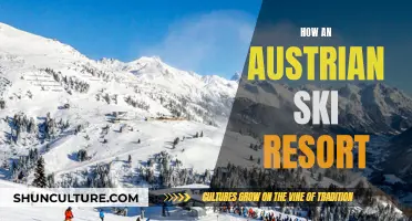 Austrian Ski Resort: A Winter Adventure Guide