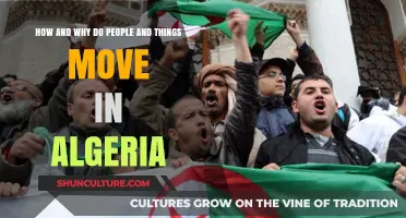 Exploring Algeria's Movement: People, Goods, and Migration Dynamics