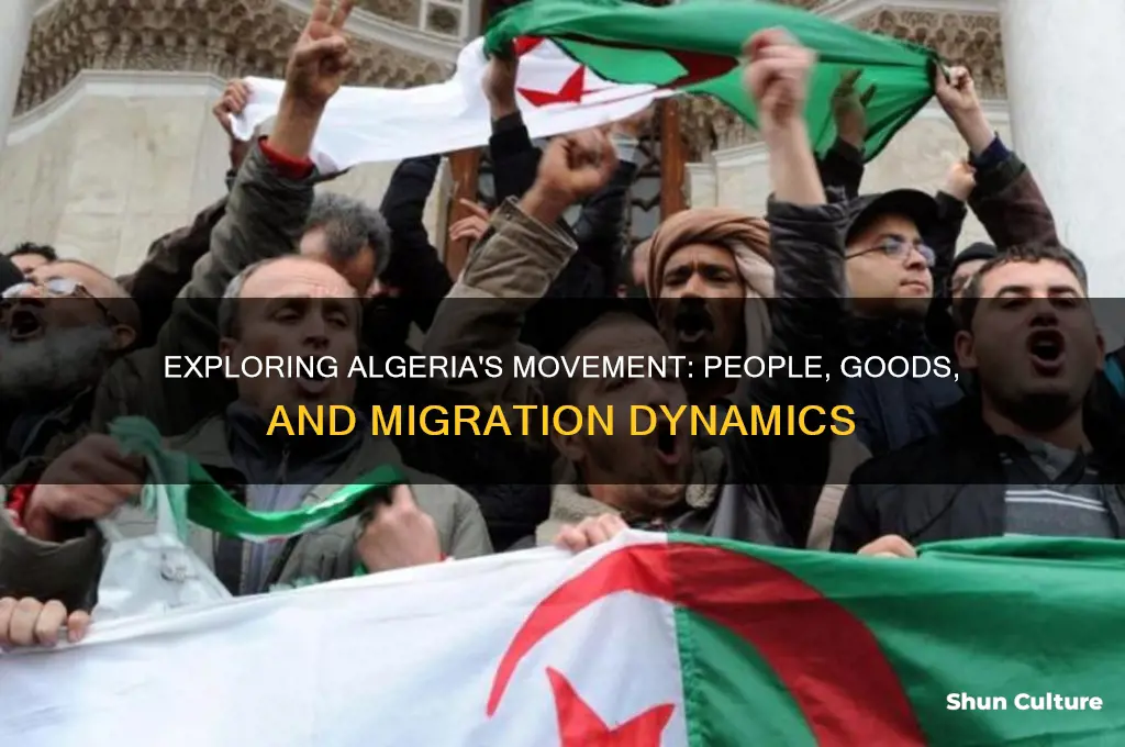 how and why do people and things move in algeria